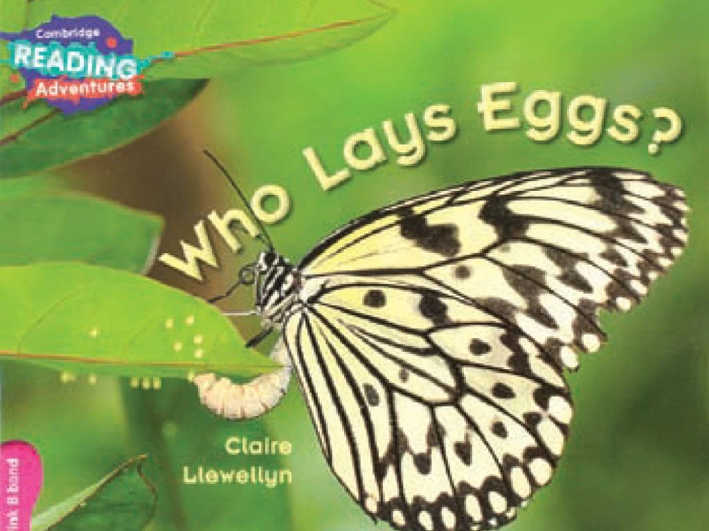 Who Lays Eggs? | Cambridge Reading Adventures Pink B Band | Level 1b Non-Fiction Reader for Kids